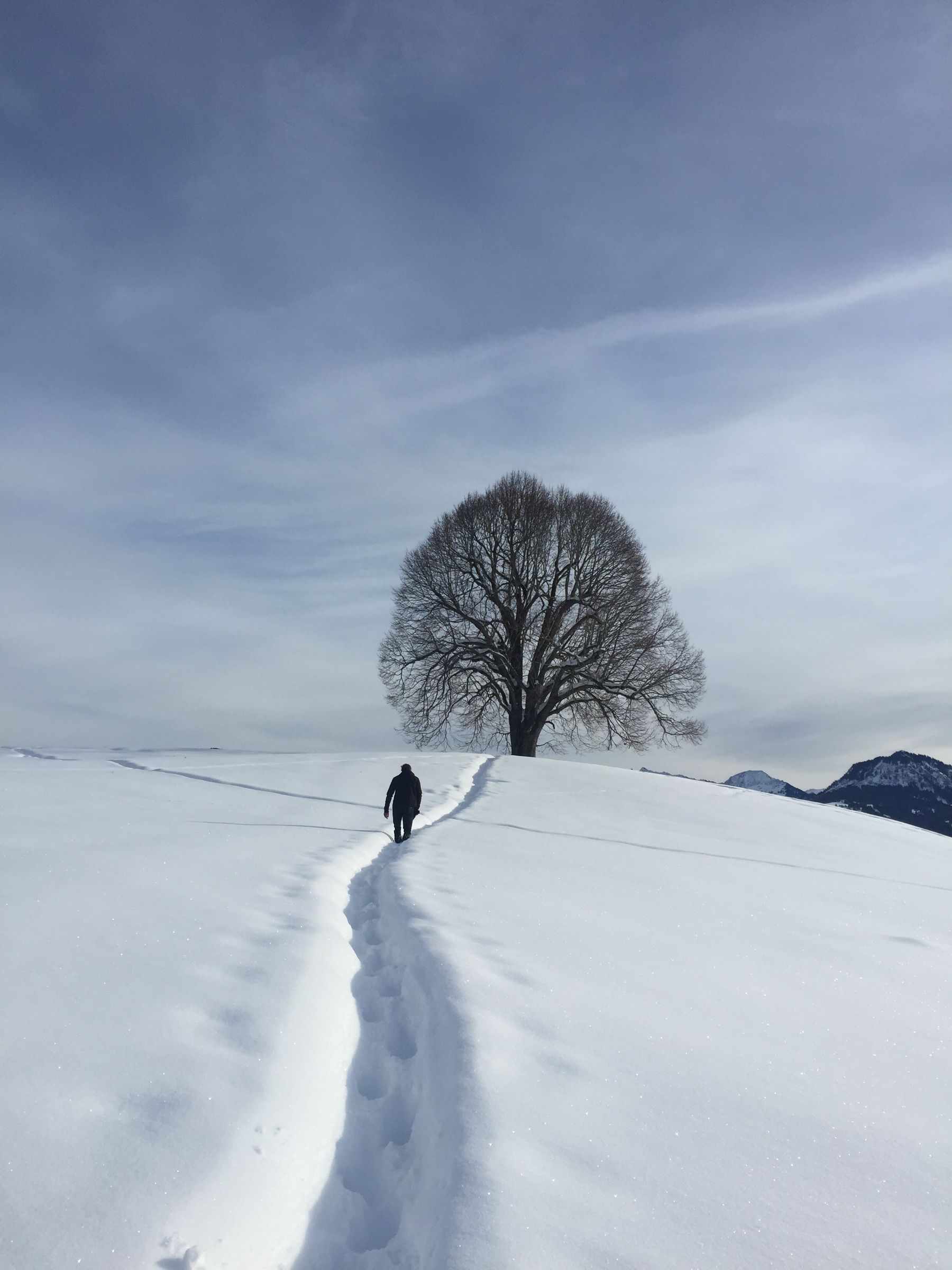 Bildrechte: Florian Hintermeyer