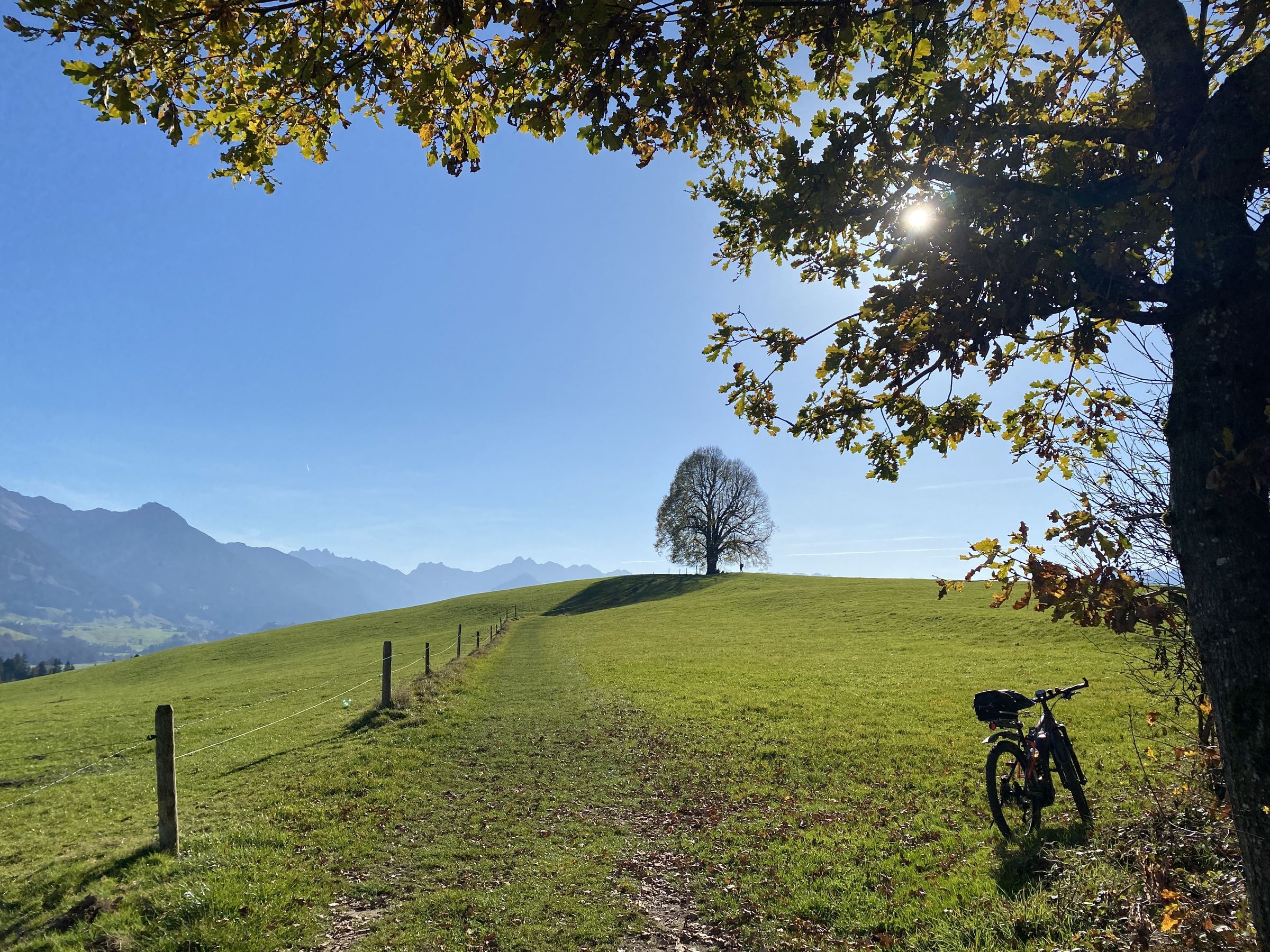 Bildrechte: Florian Hintermeyer