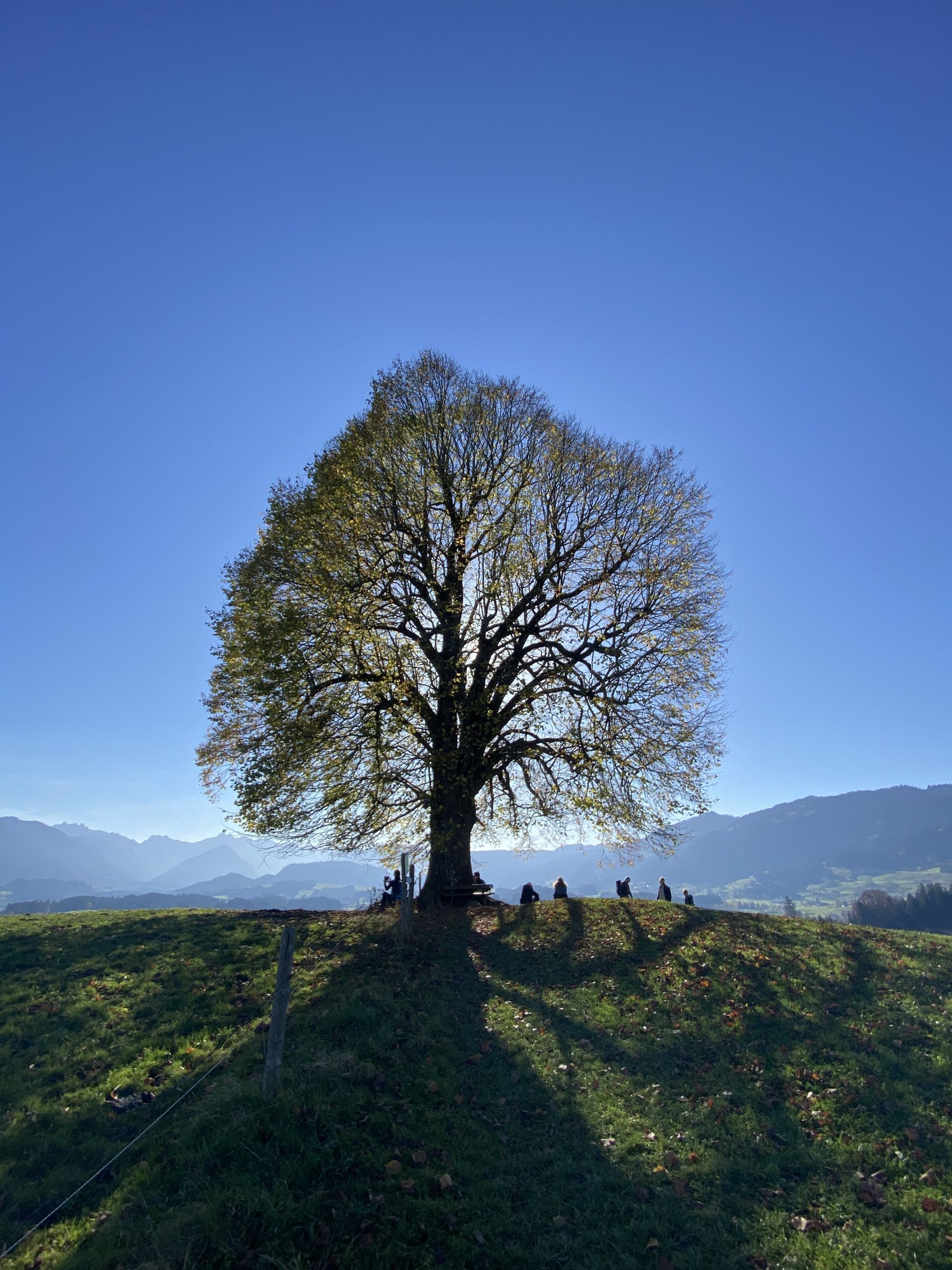 Bildrechte: Florian Hintermeyer