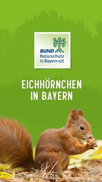 Die BN Eichhörnchen App